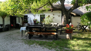 Illustration for article titled Sose gondoltam volna, hogy csárdák menthetnek meg a keserű csalódástól